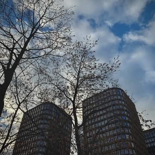 Photo #13747501