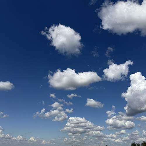 Photo #13747507