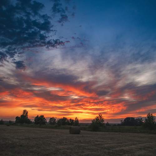 Photo #13747541