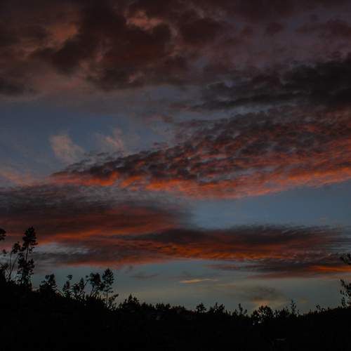 Photo #13747600