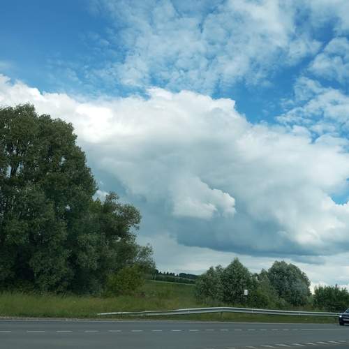Photo #13747629