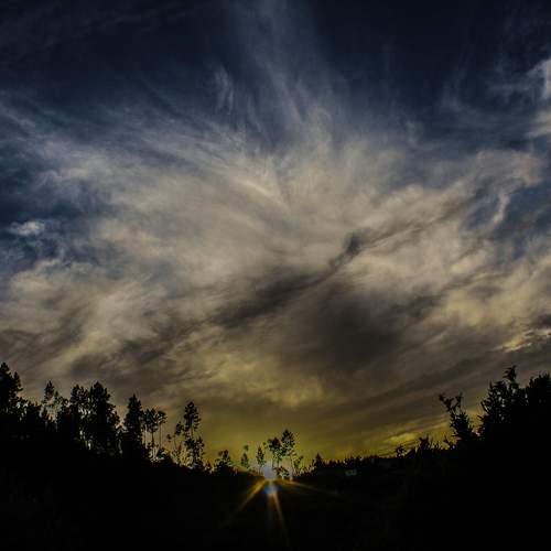 Photo #13747632
