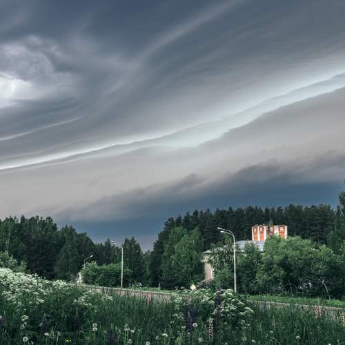Photo #13747634
