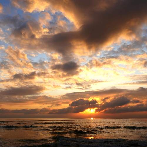 Photo #13747679