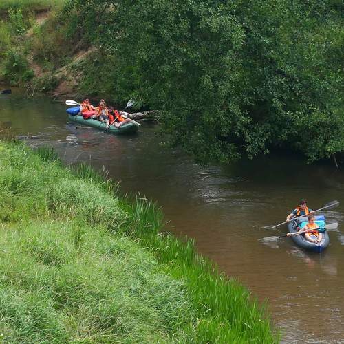 Photo #13747693