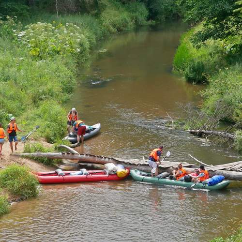 Photo #13747694