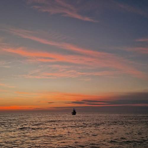 Photo #13747706