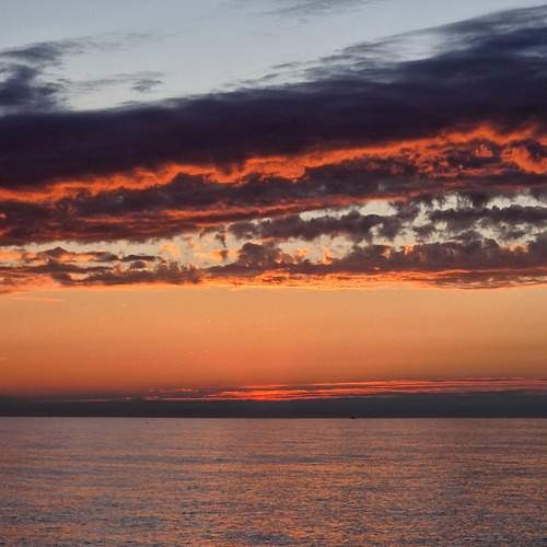 Photo #13747707