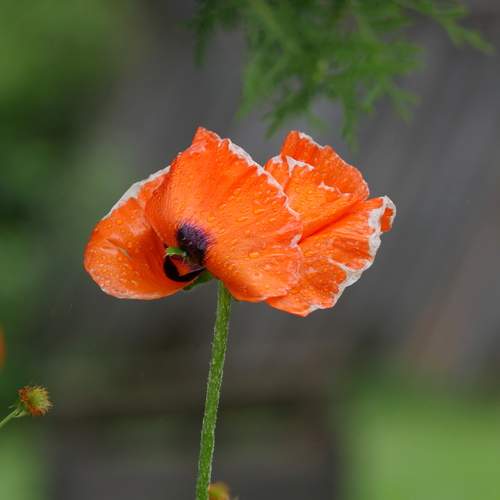 Photo #13747713
