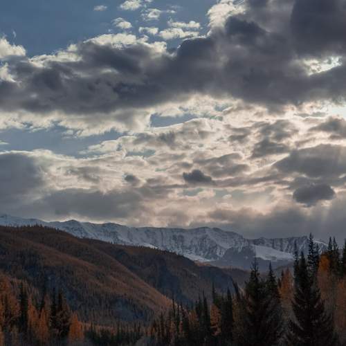 Photo #13747716
