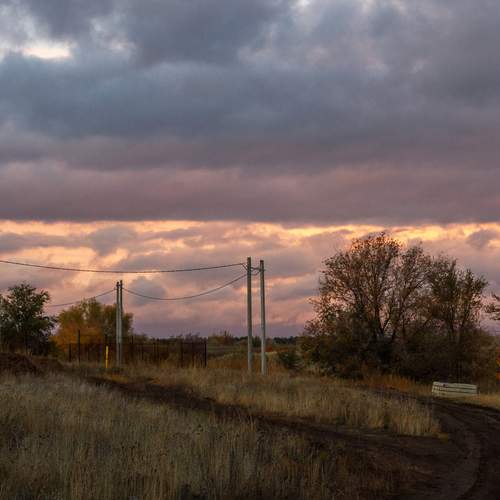 Photo #13747726