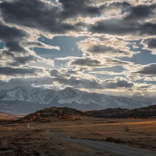 Photo #13747743