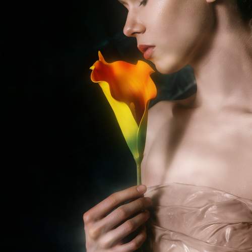 Photo #13747746