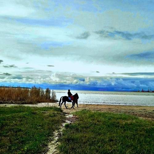 Photo #13747797