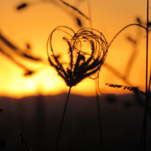 Photo #13747819