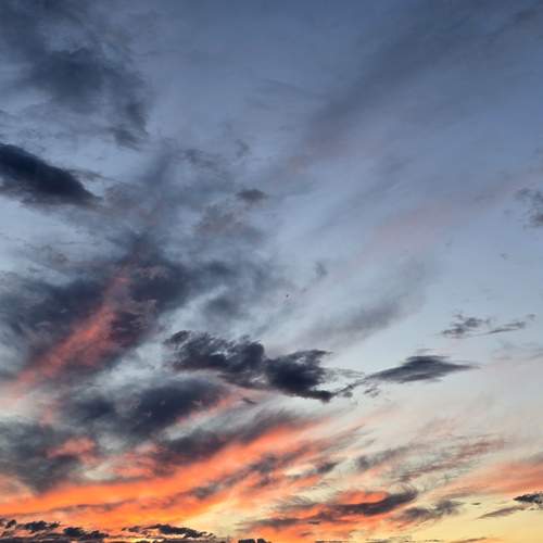 Photo #13747829