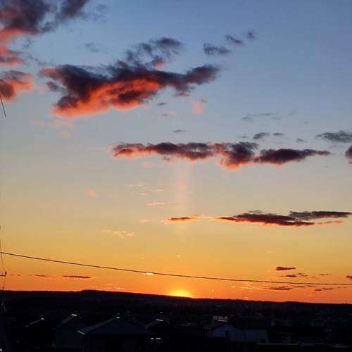 Photo #13747834