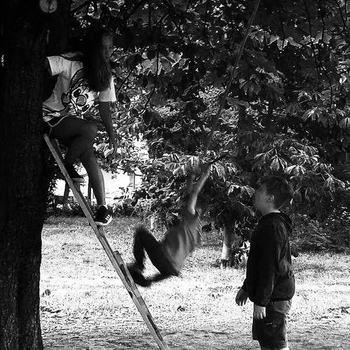 Photo #13747838