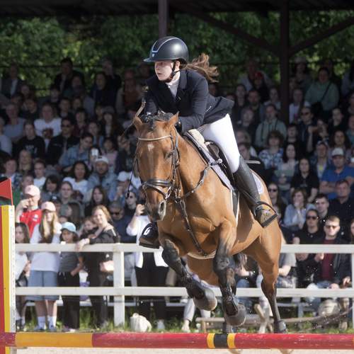 Photo #13747866