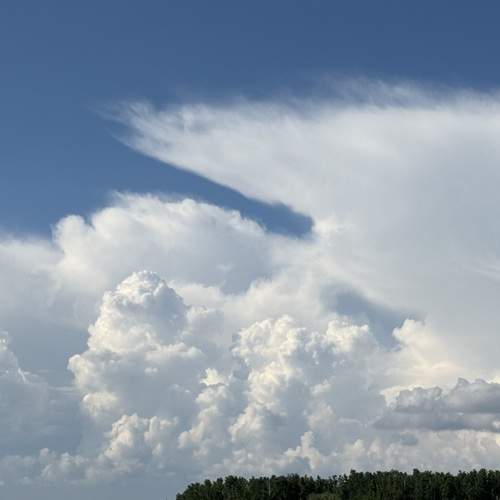 Photo #13747873