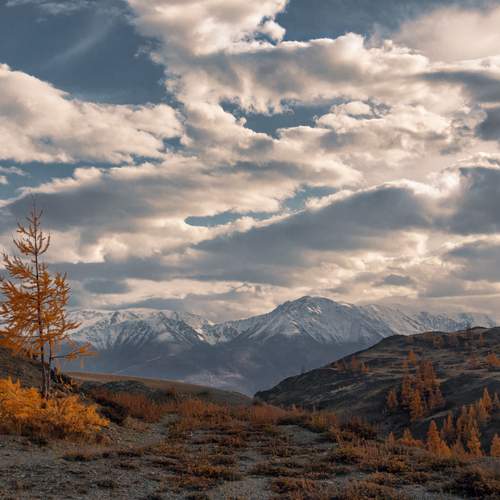 Photo #13747889