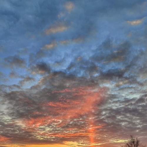 Photo #13747894