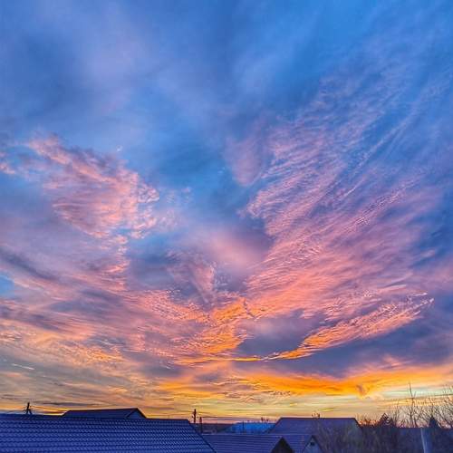 Photo #13747895
