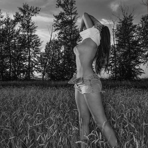 Photo #13747896
