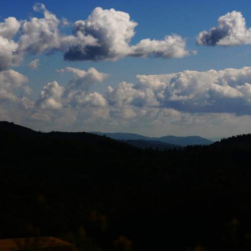 Photo #13747917
