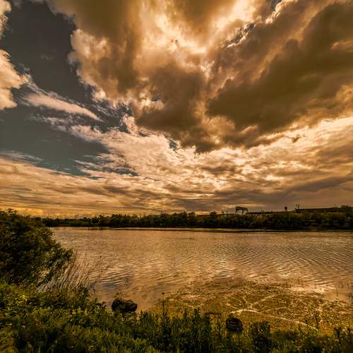 Photo #13747925