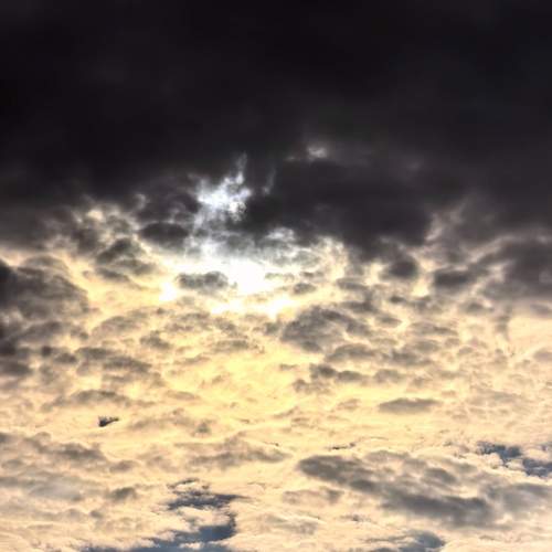 Photo #13747949