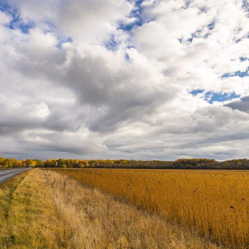 Photo #13747950