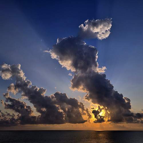 Photo #13747954