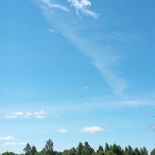 Photo #13747963