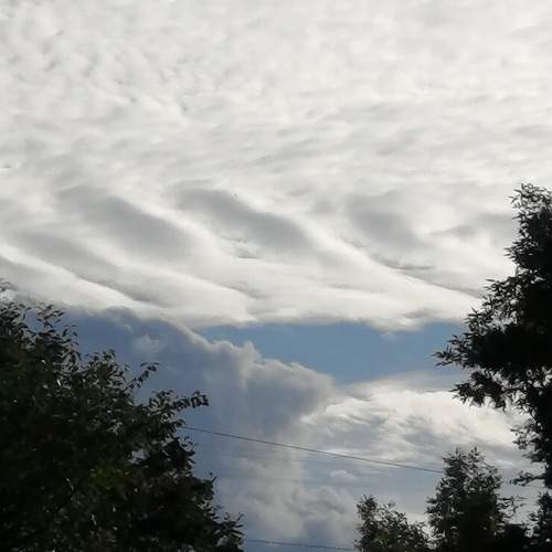 Photo #13747980