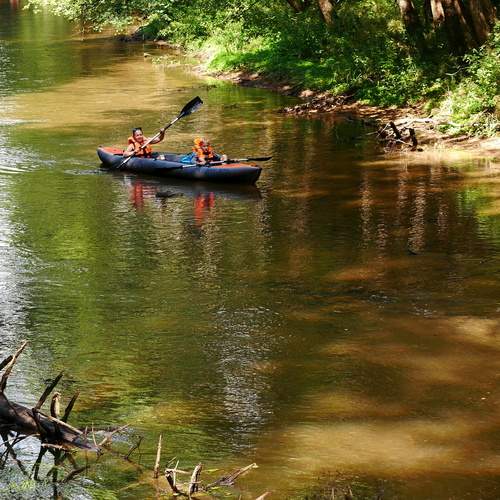 Photo #13748000