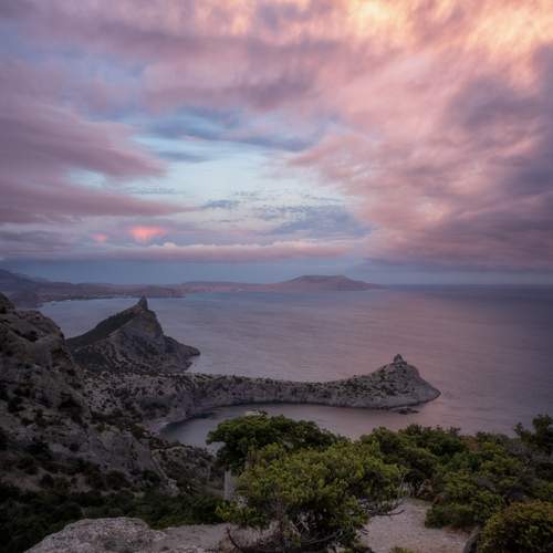 Photo #13748003