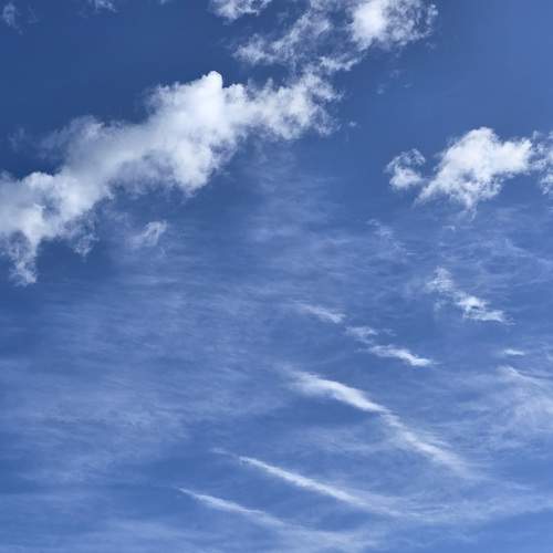 Photo #13748025