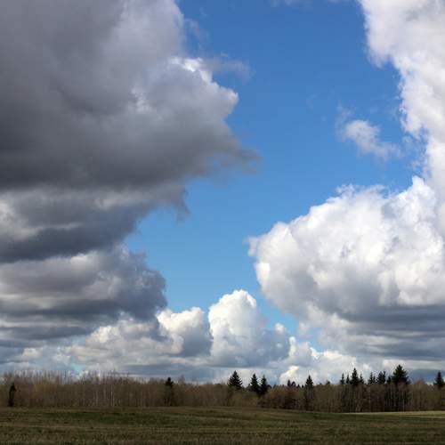 Photo #13748042