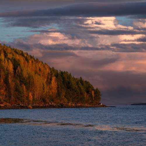 Photo #13748080