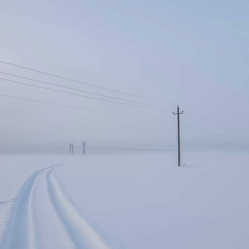 Photo #13748109