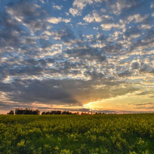 Photo #13748110