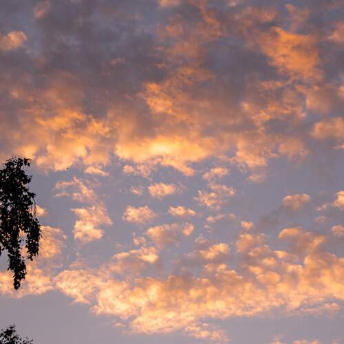 Photo #13748118