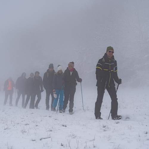 Photo #13748138