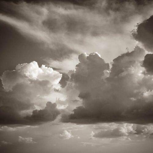 Photo #13748140