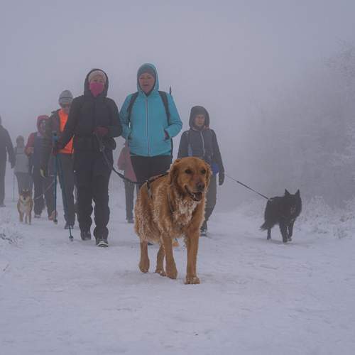 Photo #13748141