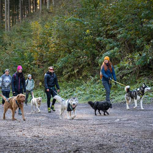 Photo #13748143