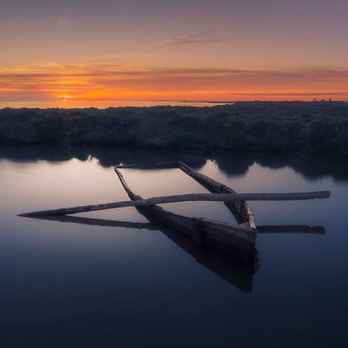 Photo #13748164