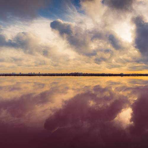 Photo #13748182