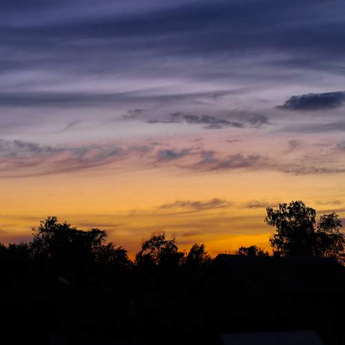 Photo #13748192